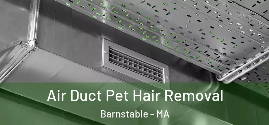  Air Duct Pet Hair Removal Barnstable - MA