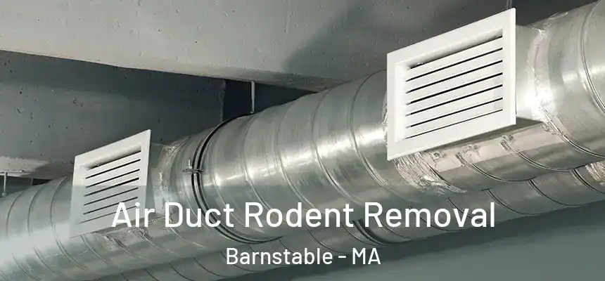  Air Duct Rodent Removal Barnstable - MA