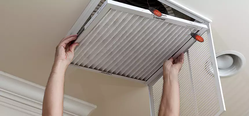 Our Insect Removal from Air Ducts Services in Barnstable, MA