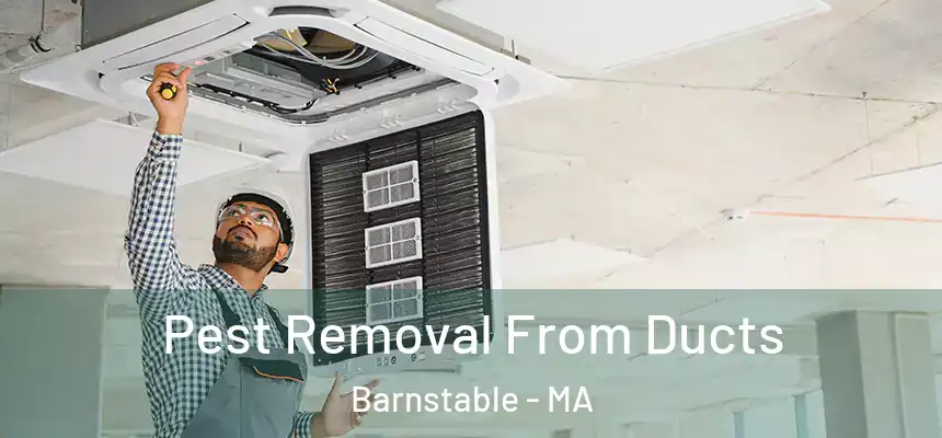 Pest Removal From Ducts Barnstable - MA
