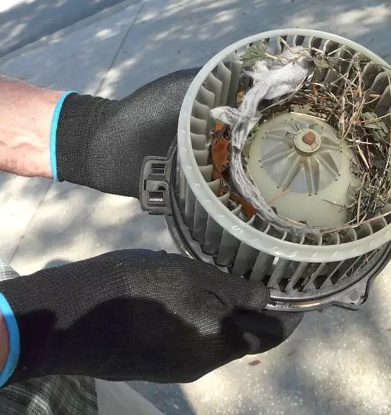 About Air Duct Mice Removal in Barnstable, MA