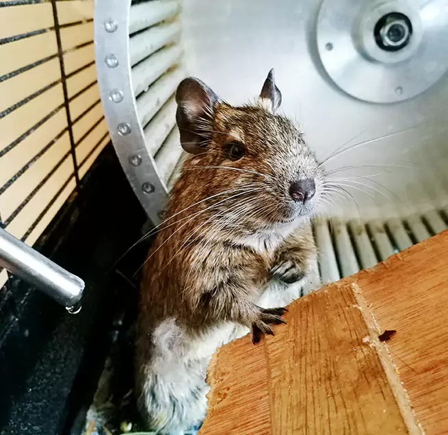 Why Homeowners & Businesses Trust Us Barnstable, MA?