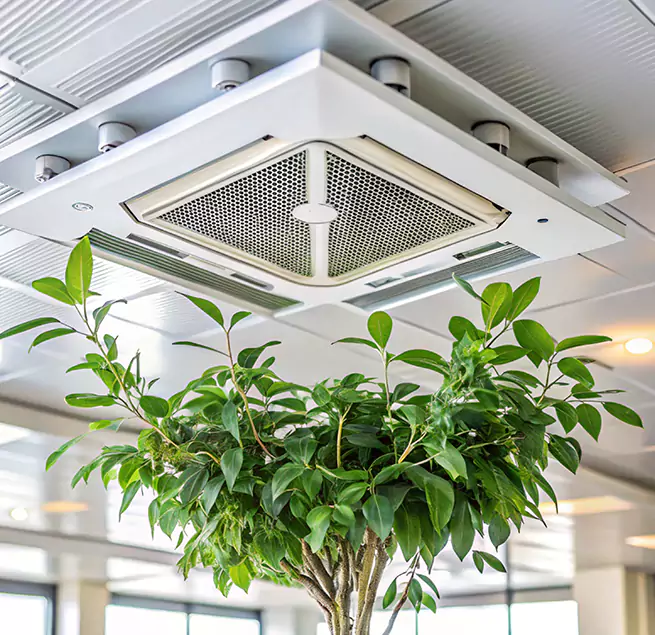 Why Homeowners & Businesses Trust Us in Barnstable, MA?